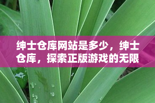绅士仓库网站是多少，绅士仓库，探索正版游戏的无限可能