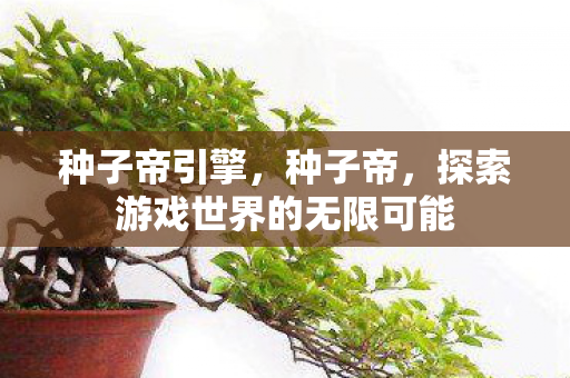 种子帝引擎，种子帝，探索游戏世界的无限可能
