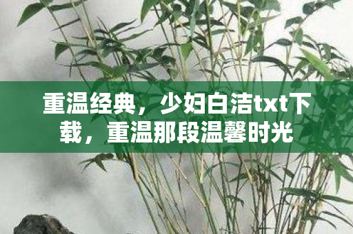 重温经典，少妇白洁txt下载，重温那段温馨时光