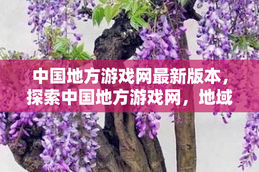 中国地方游戏网最新版本，探索中国地方游戏网，地域文化的数字乐园