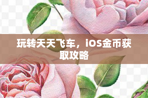 玩转天天飞车，iOS金币获取攻略
