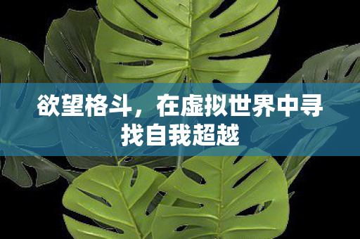 欲望格斗，在虚拟世界中寻找自我超越