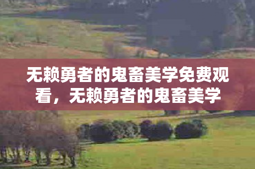 无赖勇者的鬼畜美学免费观看，无赖勇者的鬼畜美学