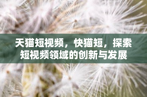 天猫短视频，快猫短，探索短视频领域的创新与发展