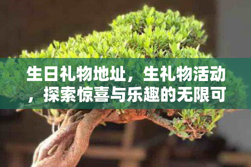 生日礼物地址，生礼物活动，探索惊喜与乐趣的无限可能