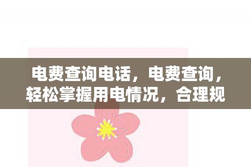 电费查询电话，电费查询，轻松掌握用电情况，合理规划生活开支