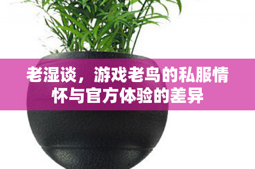 老湿谈，游戏老鸟的私服情怀与官方体验的差异