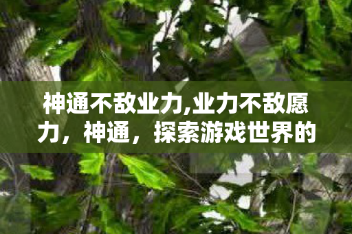 神通不敌业力,业力不敌愿力，神通，探索游戏世界的无限可能