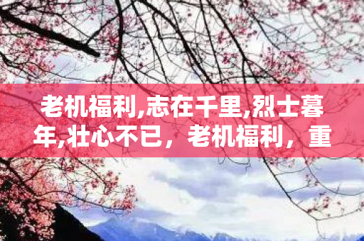 老机福利,志在千里,烈士暮年,壮心不已，老机福利，重温经典，感受复古游戏的魅力