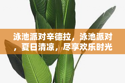 泳池派对辛德拉，泳池派对，夏日清凉，尽享欢乐时光