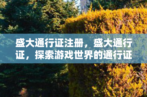 盛大通行证注册，盛大通行证，探索游戏世界的通行证