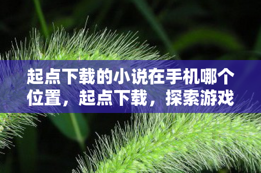 起点下载的小说在手机哪个位置，起点下载，探索游戏世界的无限可能