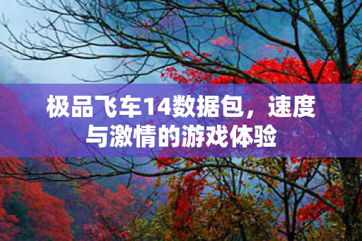 极品飞车14数据包，速度与激情的游戏体验