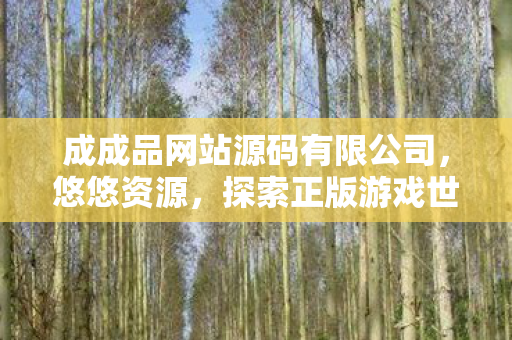 成成品网站源码有限公司，悠悠资源，探索正版游戏世界的无限可能