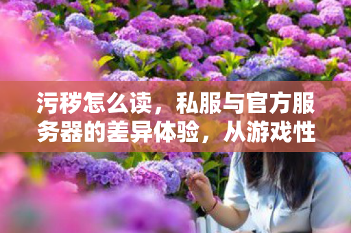 污秽怎么读，私服与官方服务器的差异体验，从游戏性到稳定性的全面剖析