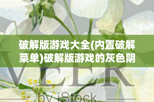 破解版游戏大全(内置破解菜单)破解版游戏的灰色阴影，探索其背后的风险与影响