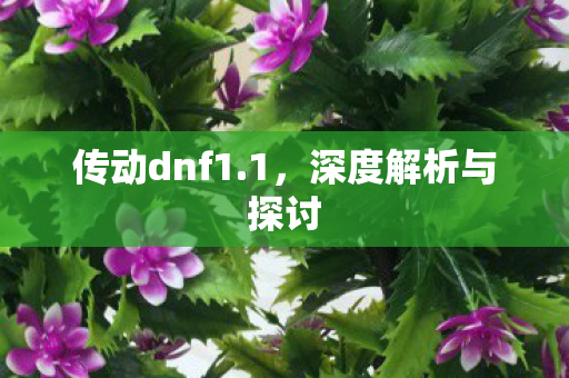 传动dnf1.1，深度解析与探讨