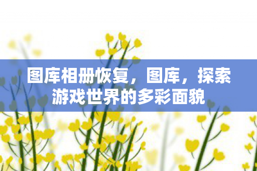 图库相册恢复，图库，探索游戏世界的多彩面貌