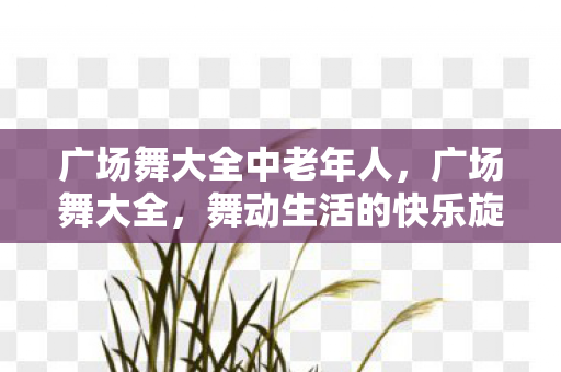 广场舞大全中老年人，广场舞大全，舞动生活的快乐旋律