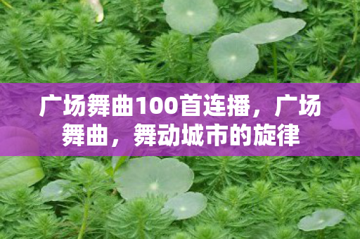 广场舞曲100首连播，广场舞曲，舞动城市的旋律