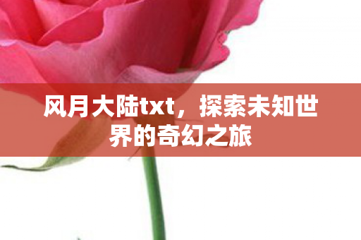 风月大陆txt，探索未知世界的奇幻之旅