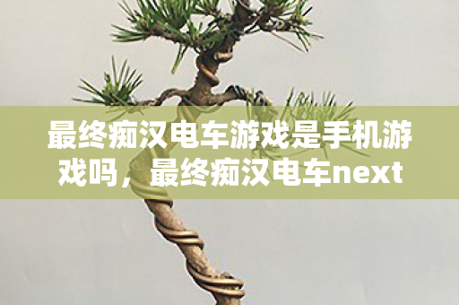 最终痴汉电车游戏是手机游戏吗，最终痴汉电车next，探索未知世界的奇妙之旅