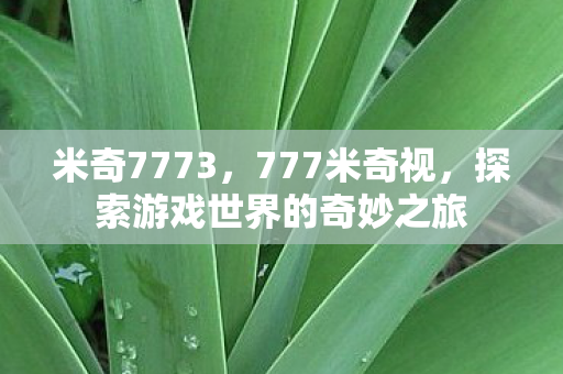 米奇7773，777米奇视，探索游戏世界的奇妙之旅
