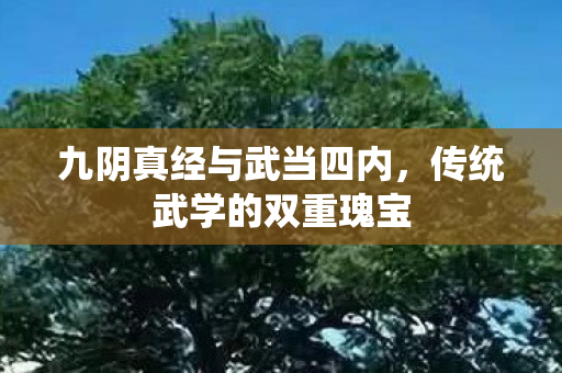 九阴真经与武当四内，传统武学的双重瑰宝