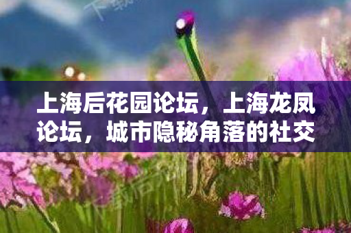 上海后花园论坛，上海龙凤论坛，城市隐秘角落的社交舞台