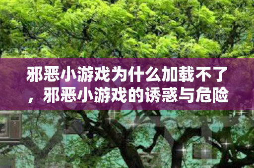 邪恶小游戏为什么加载不了，邪恶小游戏的诱惑与危险
