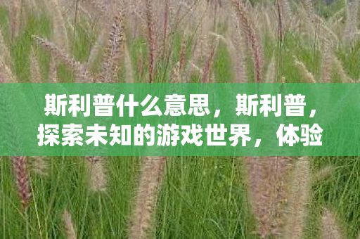 斯利普什么意思，斯利普，探索未知的游戏世界，体验不一样的冒险旅程