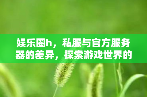 娱乐圈h，私服与官方服务器的差异，探索游戏世界的另一面