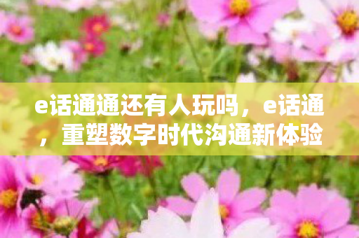 e话通通还有人玩吗，e话通，重塑数字时代沟通新体验