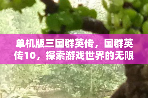 单机版三国群英传，国群英传10，探索游戏世界的无限可能