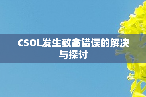 CSOL发生致命错误的解决与探讨