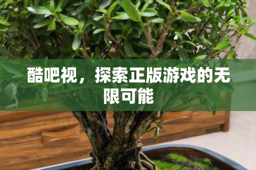 酷吧视，探索正版游戏的无限可能