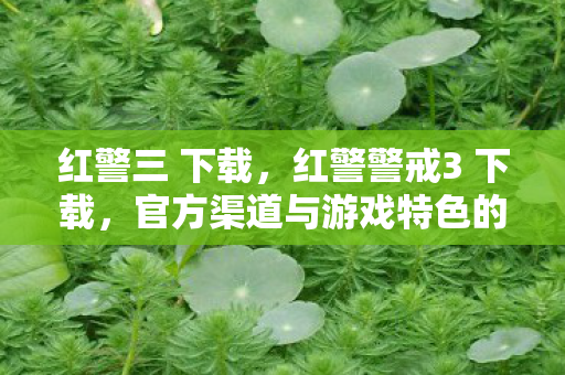 红警三 下载，红警警戒3 下载，官方渠道与游戏特色的深度解析