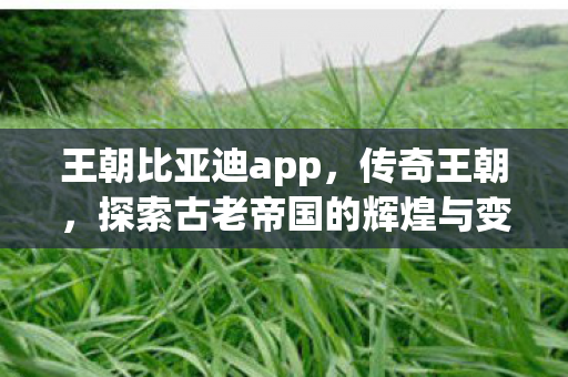王朝比亚迪app，传奇王朝，探索古老帝国的辉煌与变迁