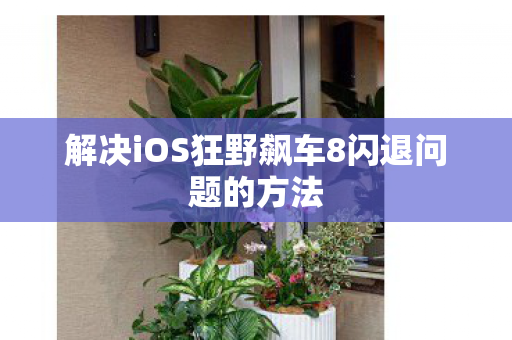 解决iOS狂野飙车8闪退问题的方法