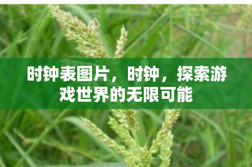 时钟表图片，时钟，探索游戏世界的无限可能