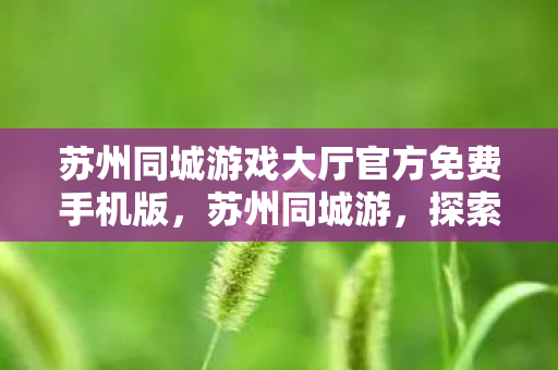 苏州同城游戏大厅官方免费手机版，苏州同城游，探索古典园林与现代生活的完美融合
