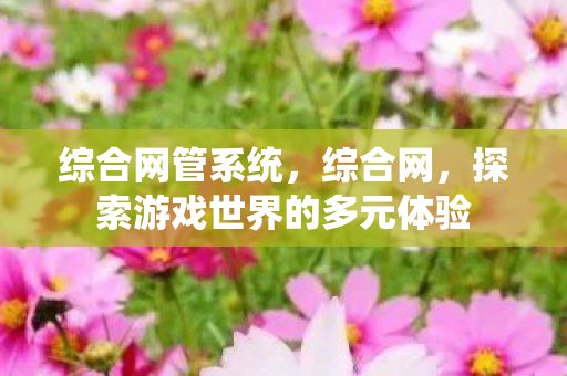 综合网管系统，综合网，探索游戏世界的多元体验