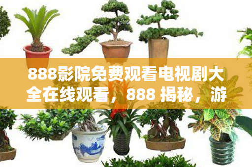 888影院免费观看电视剧大全在线观看，888 揭秘，游戏私服的魅力与风险并存