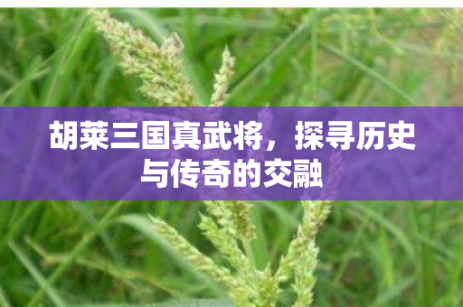 胡莱三国真武将，探寻历史与传奇的交融