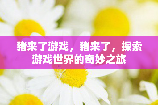 猪来了游戏，猪来了，探索游戏世界的奇妙之旅