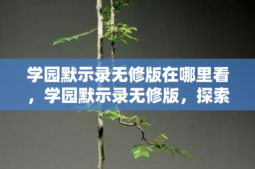 学园默示录无修版在哪里看，学园默示录无修版，探索未知世界的冒险之旅