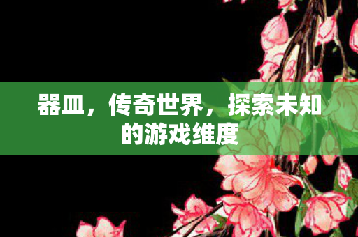 器皿，传奇世界，探索未知的游戏维度