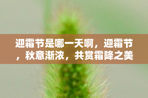 迎霜节是哪一天啊，迎霜节，秋意渐浓，共赏霜降之美