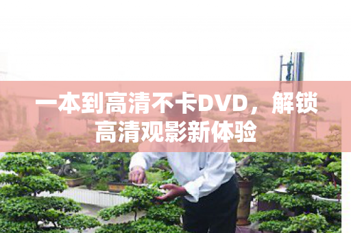 一本到高清不卡DVD，解锁高清观影新体验