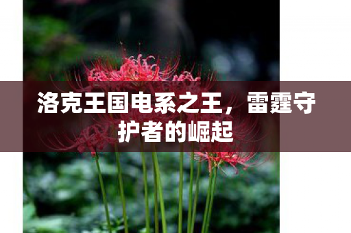 洛克王国电系之王，雷霆守护者的崛起